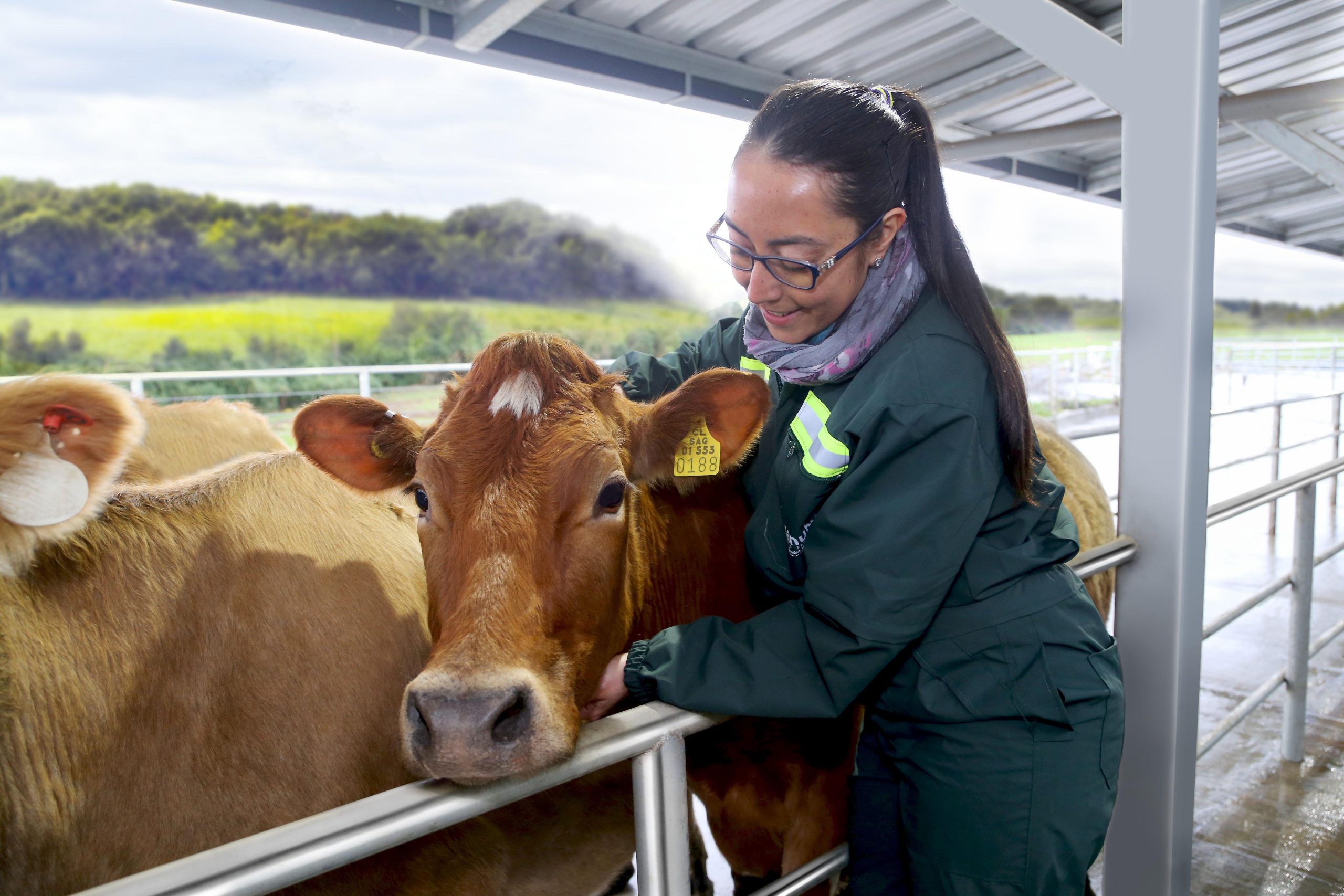 Manuka obtiene certificación internacional de Bienestar Animal y Grass Fed Certified Human